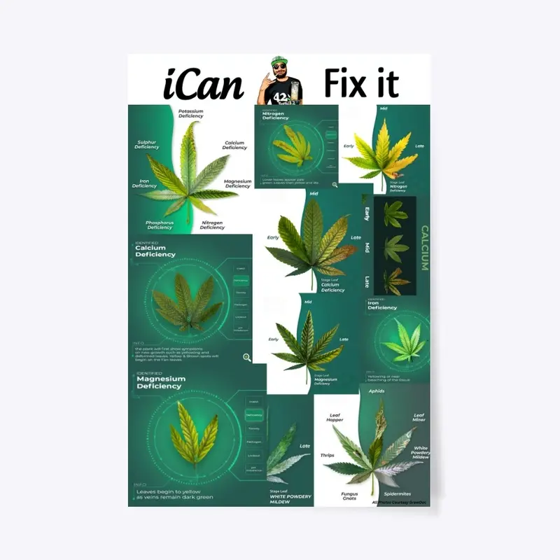 iCan Fix It (Deficiency & Pest Chart)